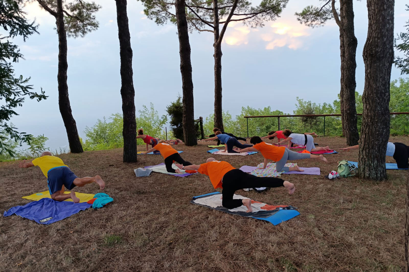 Pilates in pineta FisiosHub Pilates in pineta FisiosHub