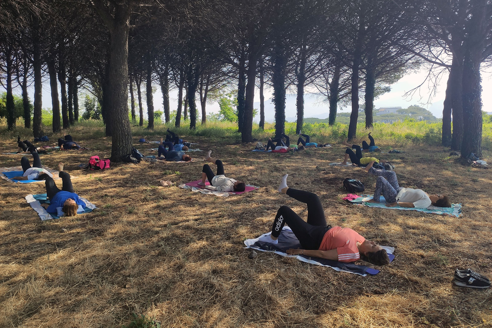 Pilates in pineta FisiosHub Pilates in pineta FisiosHub