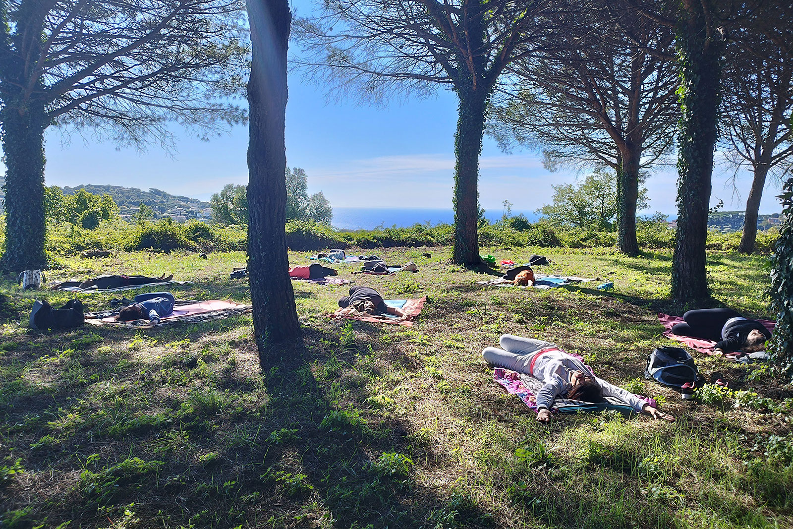 Pilates in pineta FisiosHub Pilates in pineta FisiosHub