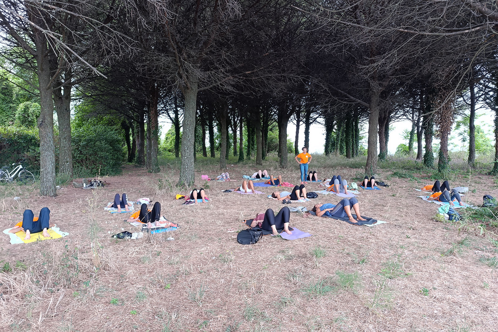 Pilates in pineta FisiosHub Pilates in pineta FisiosHub