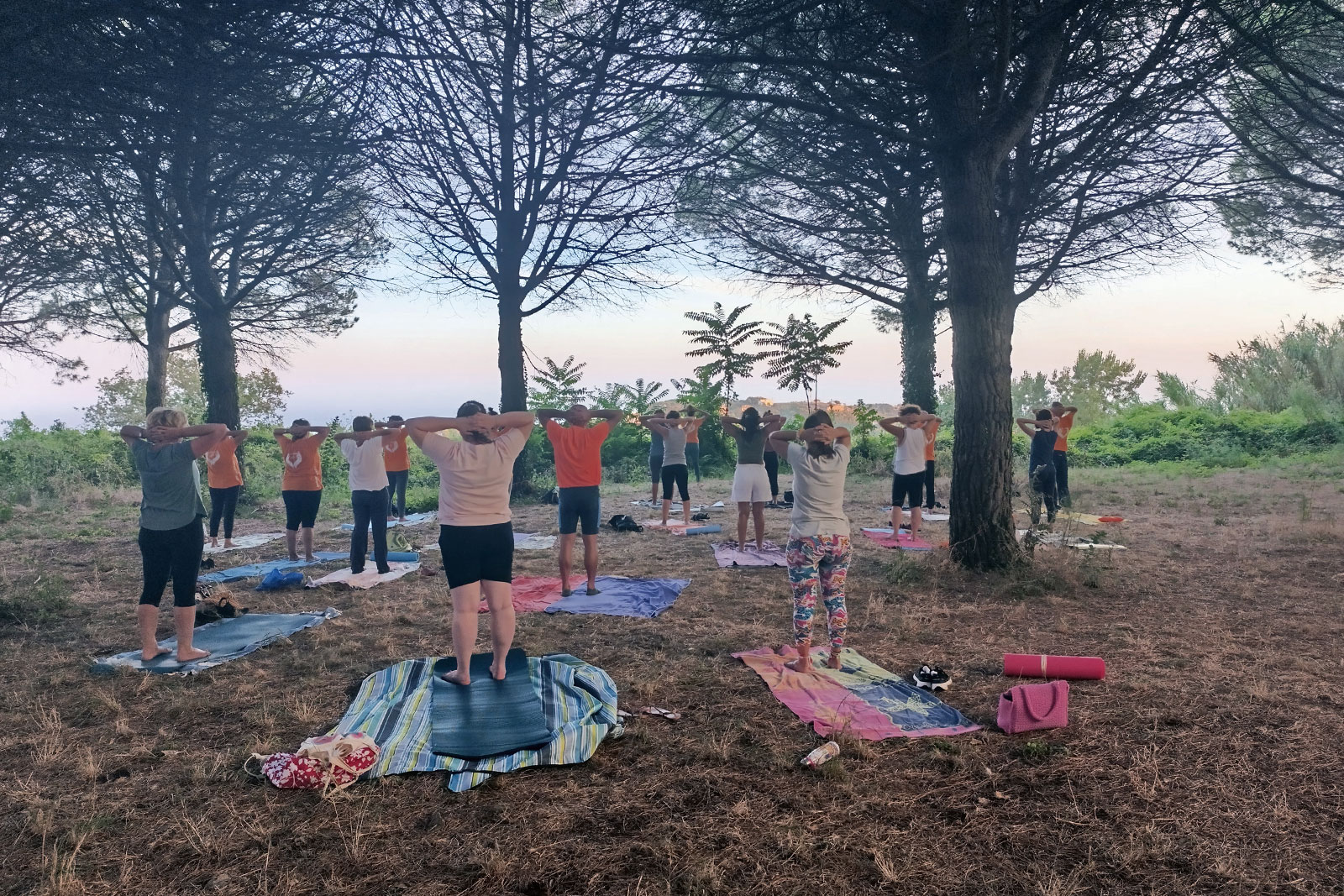 Pilates in pineta FisiosHub Pilates in pineta FisiosHub