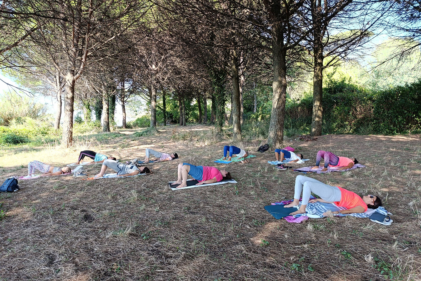 Pilates in pineta FisiosHub Pilates in pineta FisiosHub
