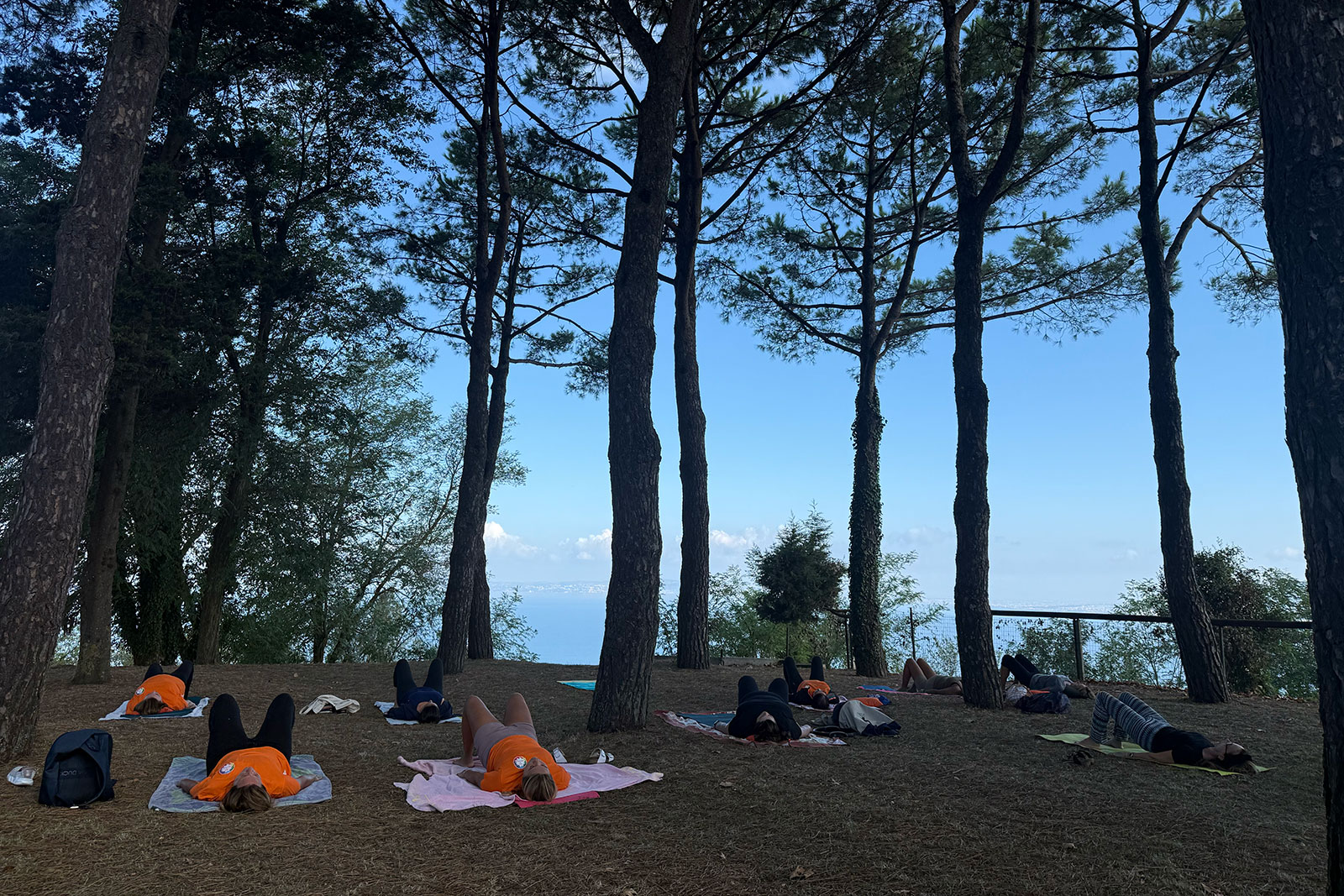 Pilates in pineta FisiosHub Pilates in pineta FisiosHub